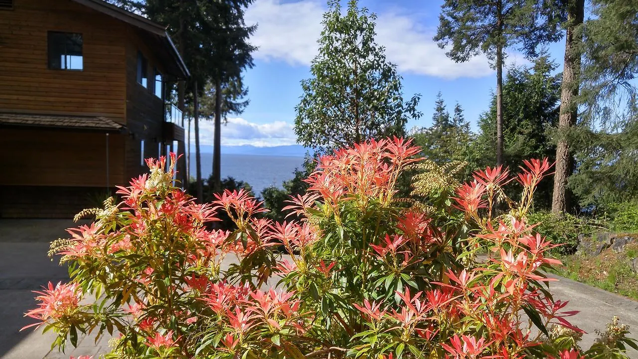 Bed & Breakfast Sunshine Coast Treetop B&B Sechelt